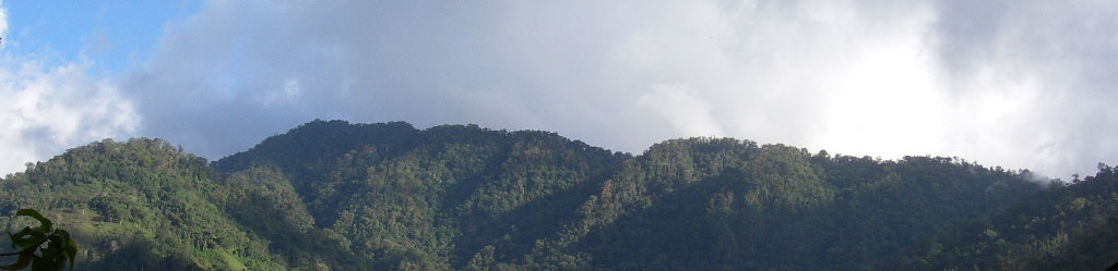 View from the retreat center